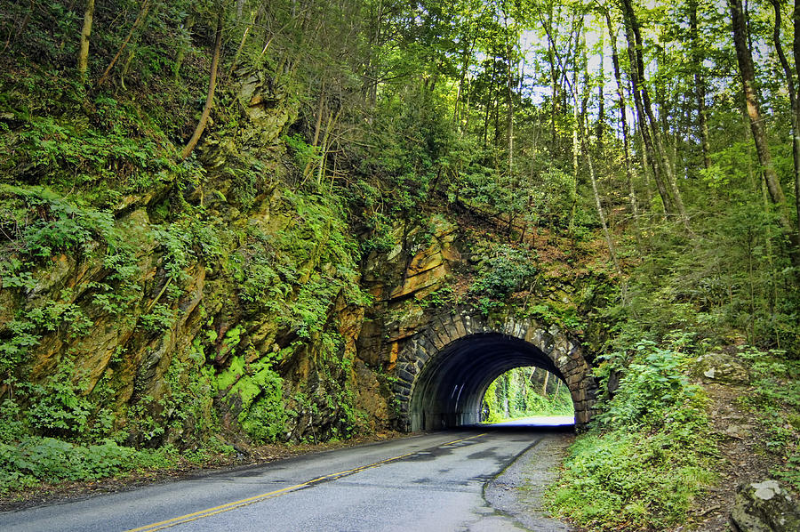 Tree Photograph - Smoky Mountain Tunnel by Cricket Hackmann