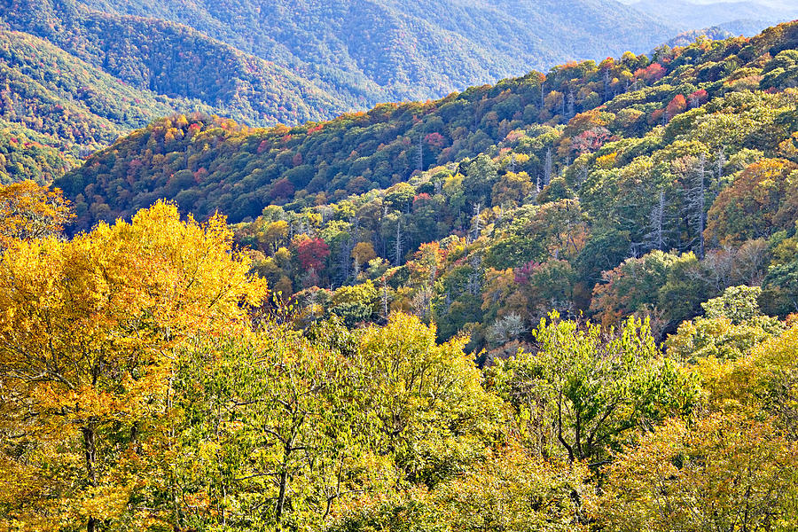 Fall Photograph - Smoky Mountain Valley by Simply  Photos