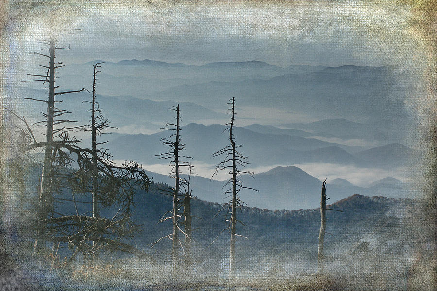 Smoky Mountain Vista Photograph by Randall Nyhof