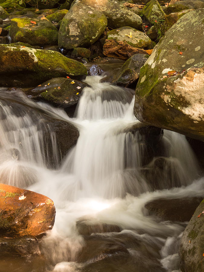 Smoky Mountain Waterfall Photograph by Cindy Haggerty
