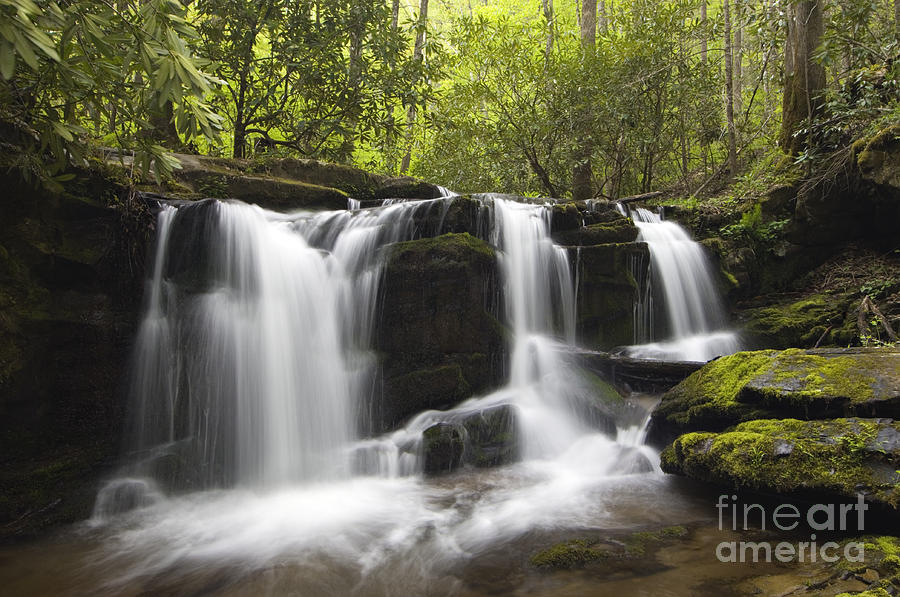 Smoky Mountain Waterfall - D008427 Photograph by Daniel Dempster