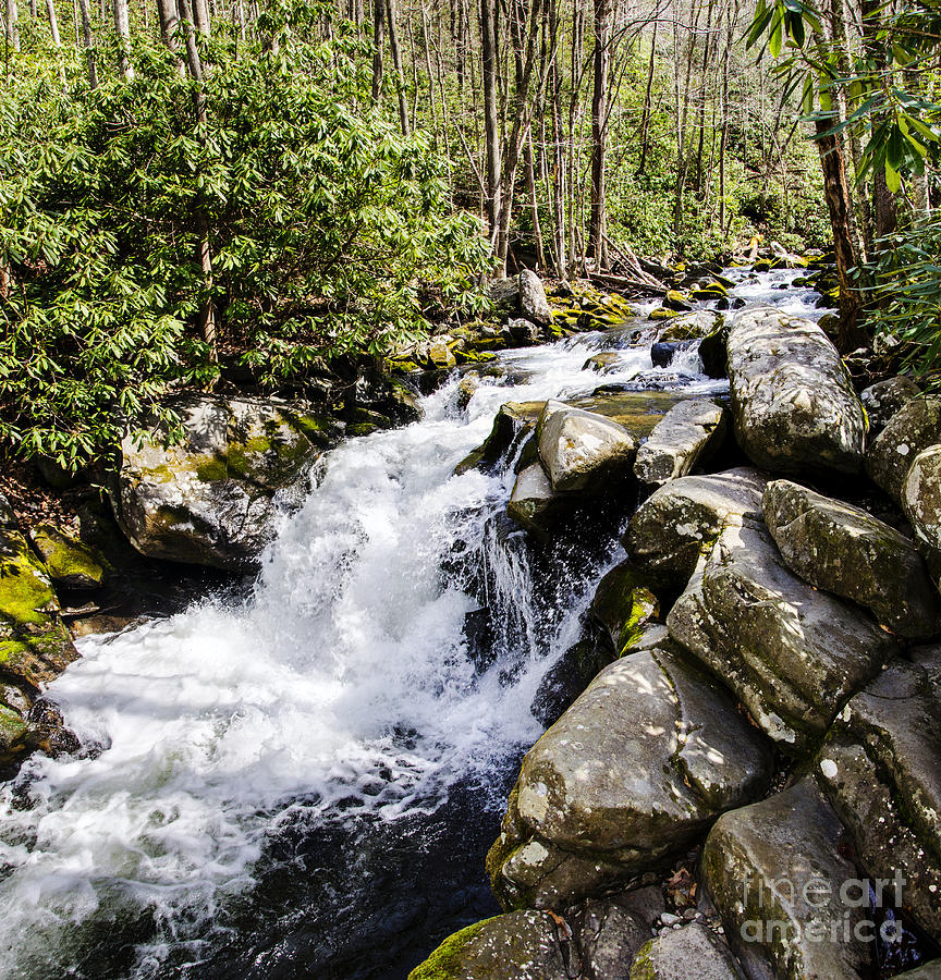 Smoky Mountain Waterfall Photograph by Paul Mashburn