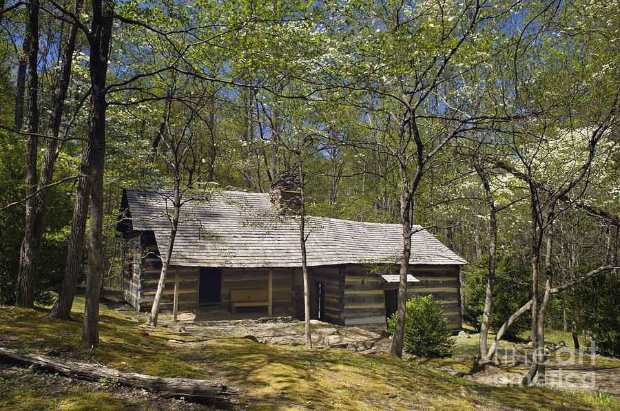 Smoky Mountains Hiking Club Cabin - D008449 Photograph by Daniel Dempster