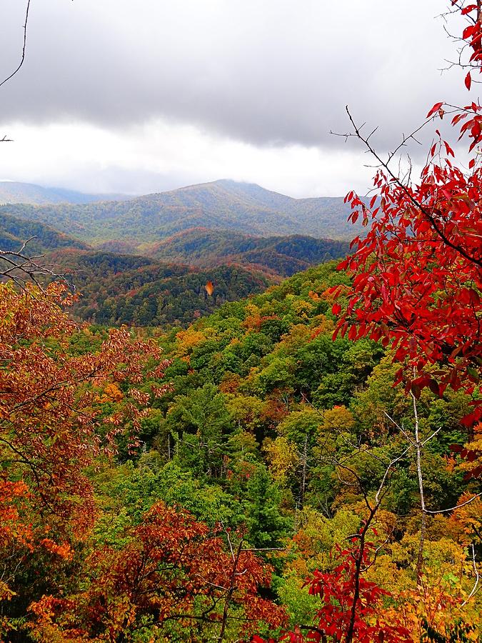 Smoky Mountains In The Fall Photograph by Dan Sproul