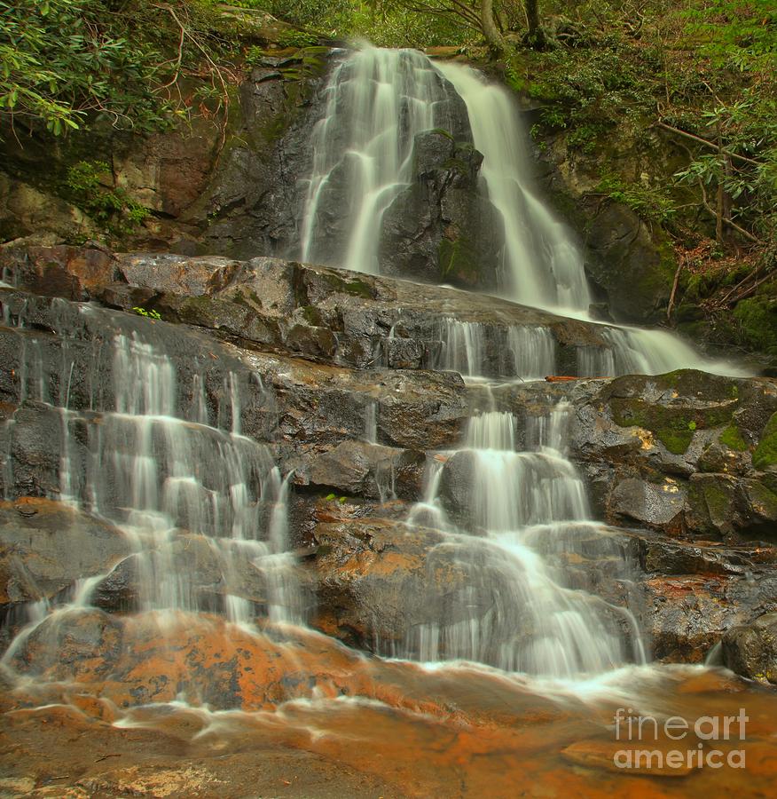 Smoky Mountains Laurel Falls Photograph by Adam Jewell