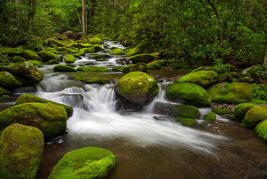 Smoky Mountains Paradise - Great Smoky Mountains Gatlinburg Tn Photograph
