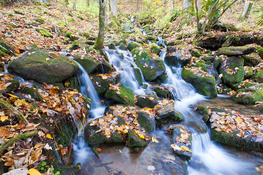 Smoky Mountains Stream Photograph by Dennis Cox