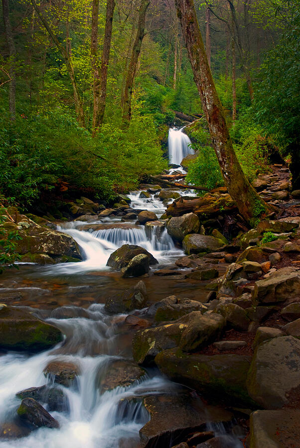 Smoky Mtn stream - 024 Photograph by Paul W Faust -  Impressions of Light
