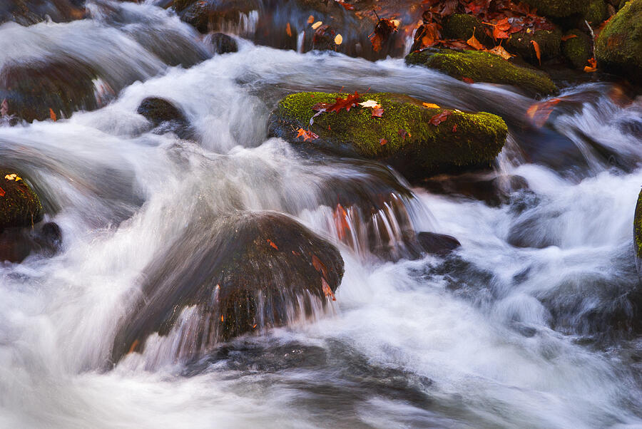 Smoky Mtn stream - 429 Photograph by Paul W Faust -  Impressions of Light