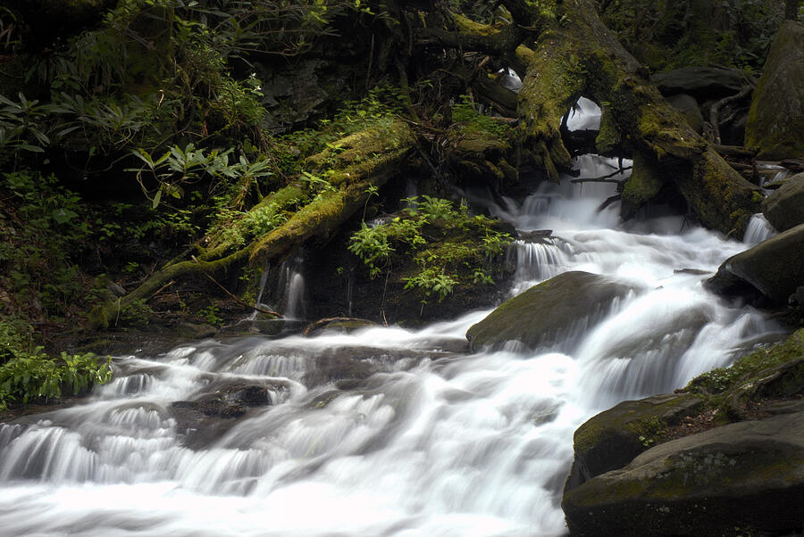 Waterfall Photograph - Smoky Mtn stream by Paul W Faust -  Impressions of Light