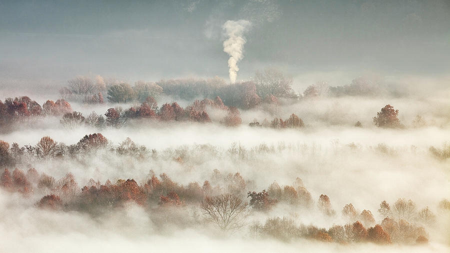 Tree Photograph - Smooking In The Misty Valley by Fiorenzo Carozzi