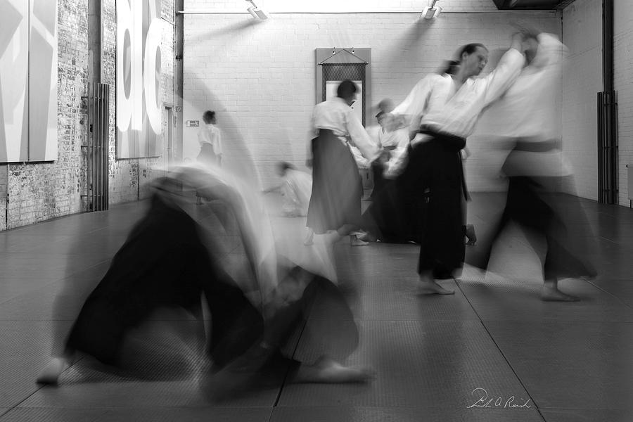 Smooth Aikido Photograph by Frederic A Reinecke