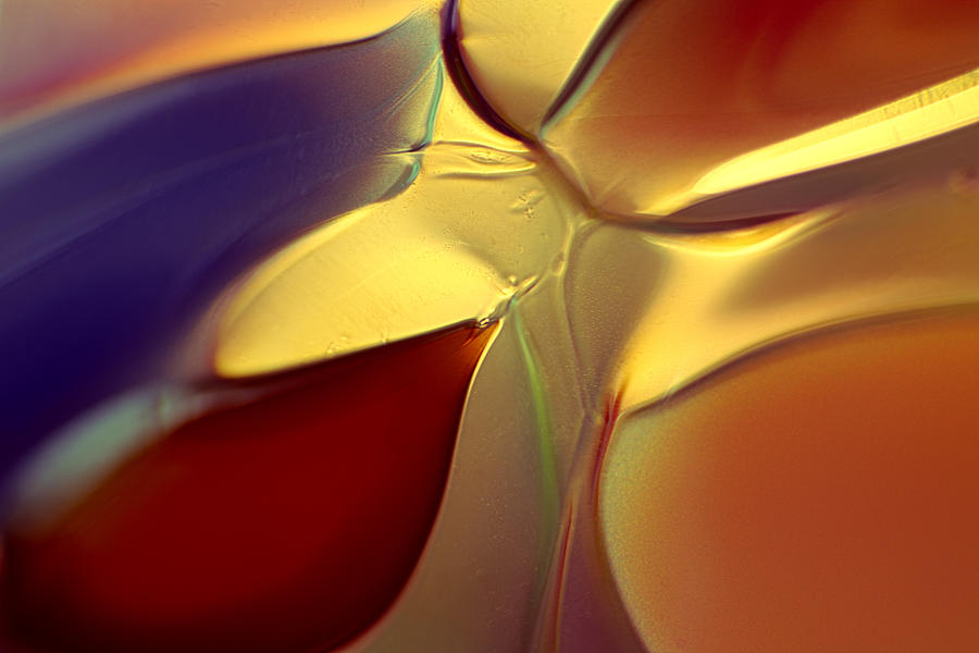 Abstract Photograph - Smooth Moves by Omaste Witkowski