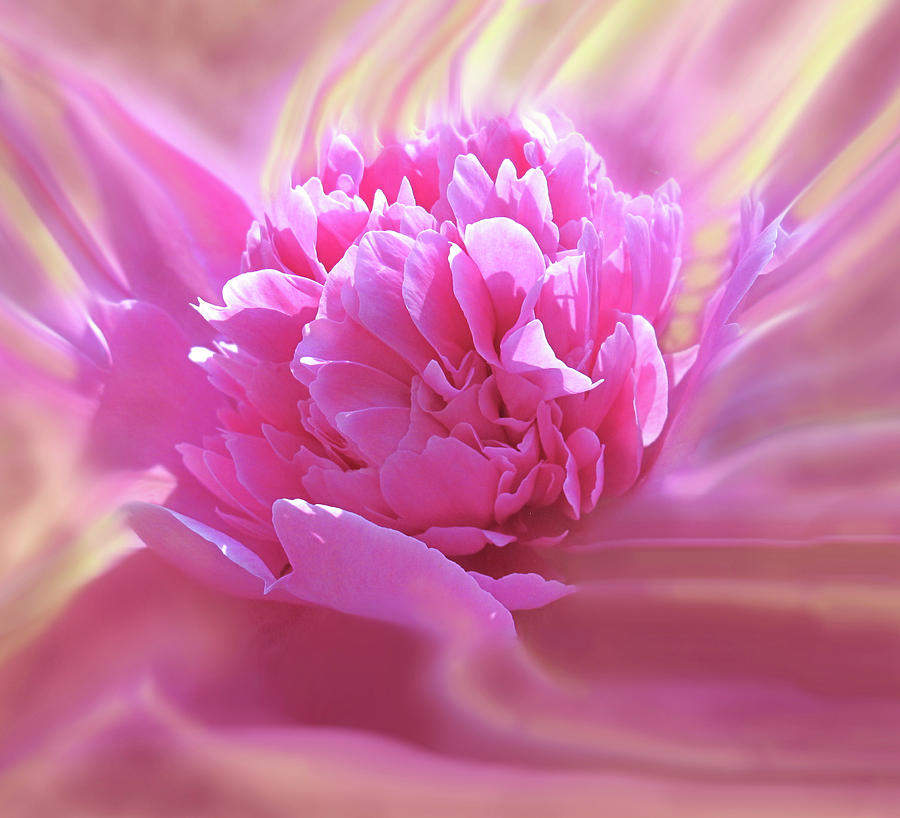 Smooth Pink Digital Art by Ian  MacDonald