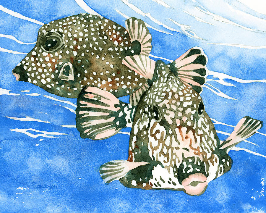 Smooth Trunkfish Pair Painting by Pauline Walsh Jacobson