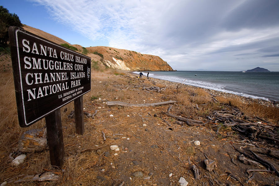 Smugglers Cove Beach Santa Cruz Photograph by Lisa Seaman Pixels