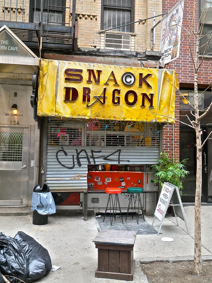 Snack Dragon in New York City Photograph by Anna Ruzsan