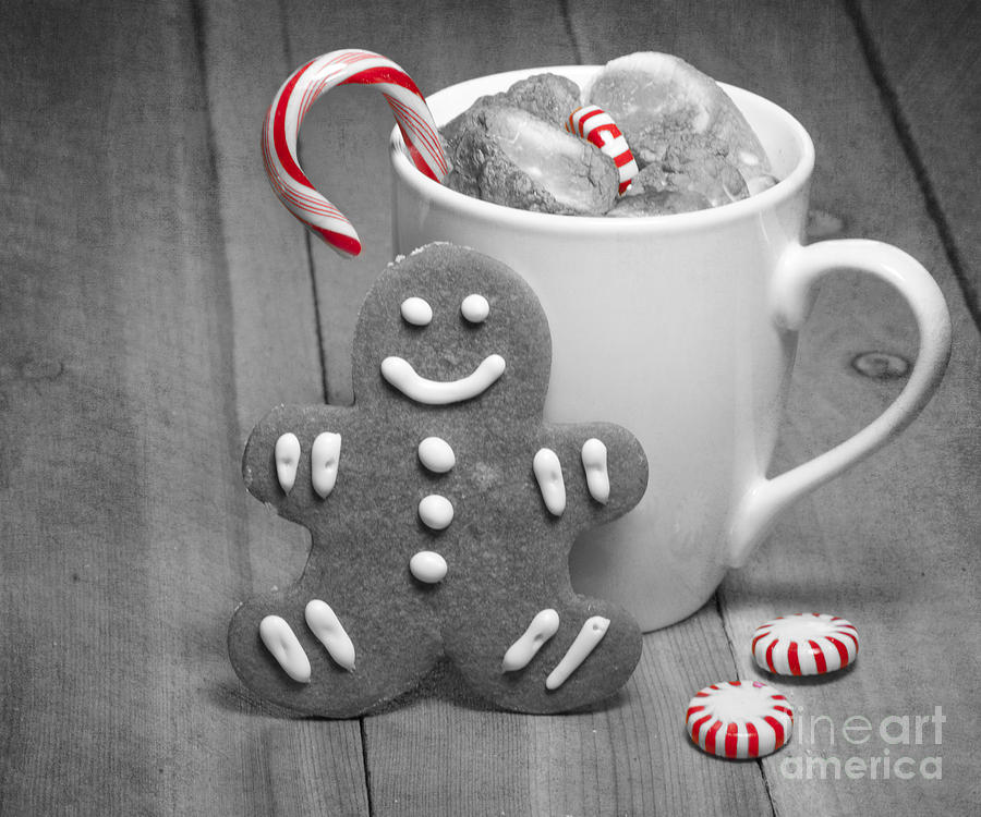 Black And White Photograph - Snack for Santa by Juli Scalzi