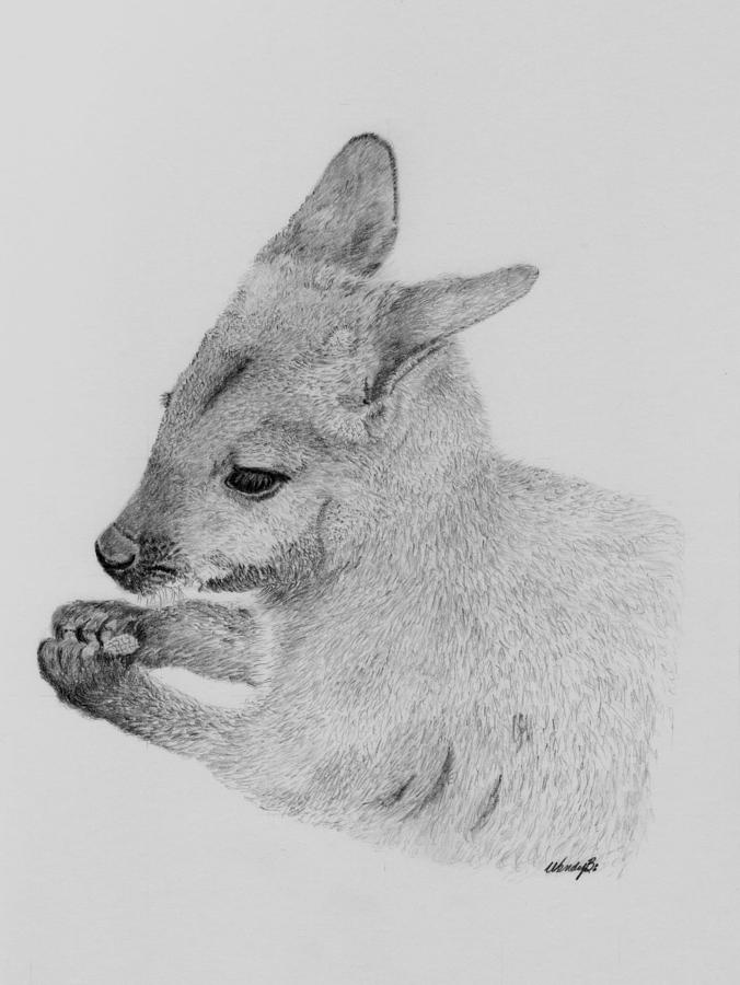 Kangaroo Drawing - Snackin Wallaby by Wendy Brunell