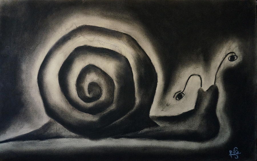 Black And White Drawing - Snail in a rainy day by Rosa Garcia Sanchez