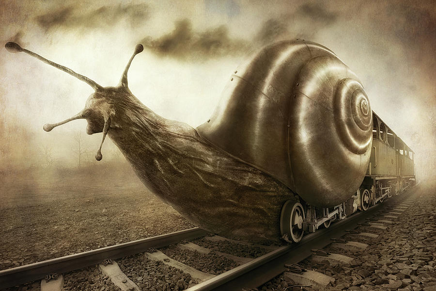 Fantasy Photograph - Snail Mail by Christophe Kiciak