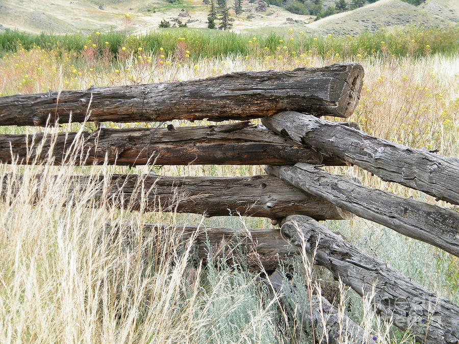 Snake Fence and Sage Brush Photograph by Ann E Robson