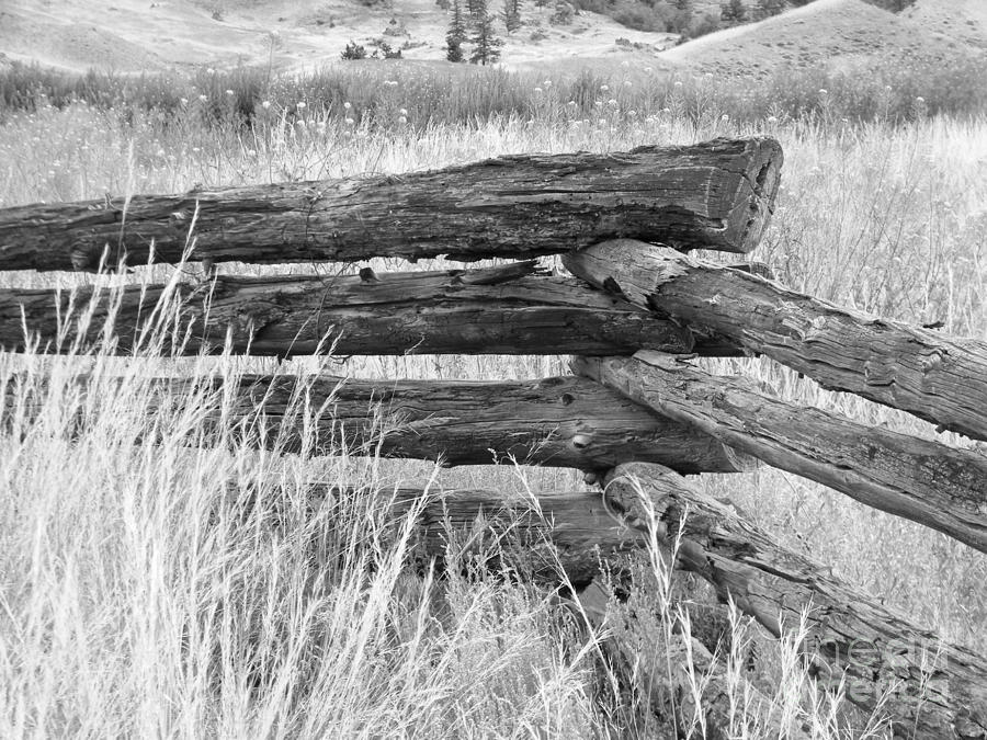 Black And White Photograph - Snake Fence  by Ann E Robson