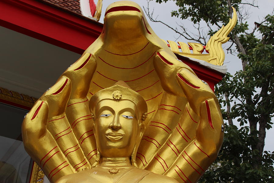 Buddha Photograph - Snake Head Gold Buddha by Michael Kim