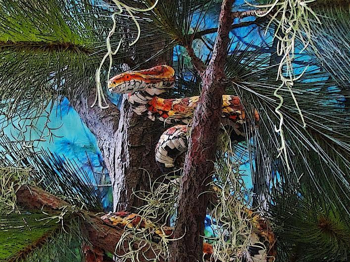 Snake Photograph - Snake in the Tree by Lenore Senior