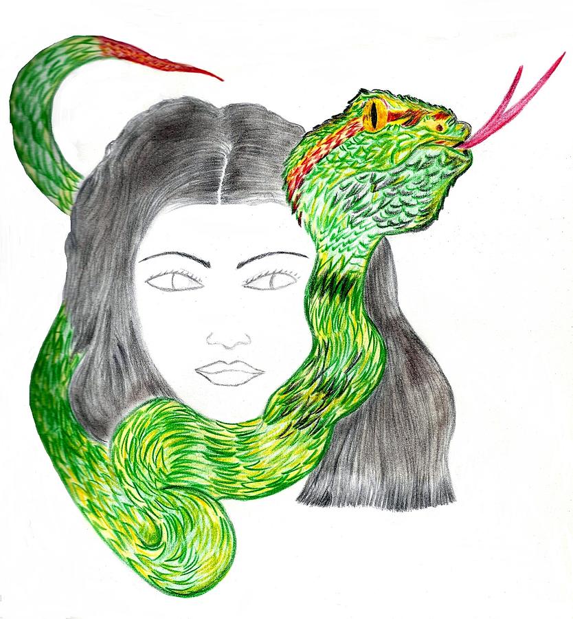 Snake Passion Drawing