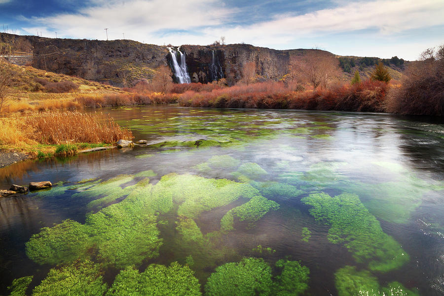 Snake River And Thousand Springs, Idaho Photograph by Anna Gorin