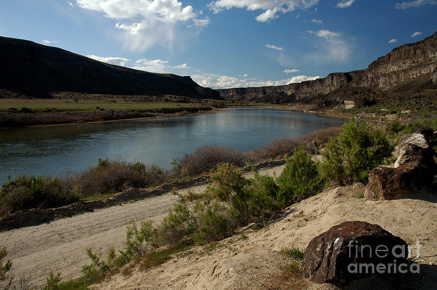 715P Snake River Birds of Prey Area Photograph by NightVisions