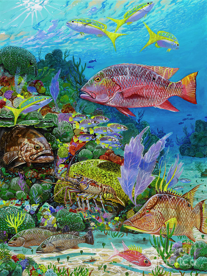 Fish Painting - Snapper Reef Re0028 by Carey Chen