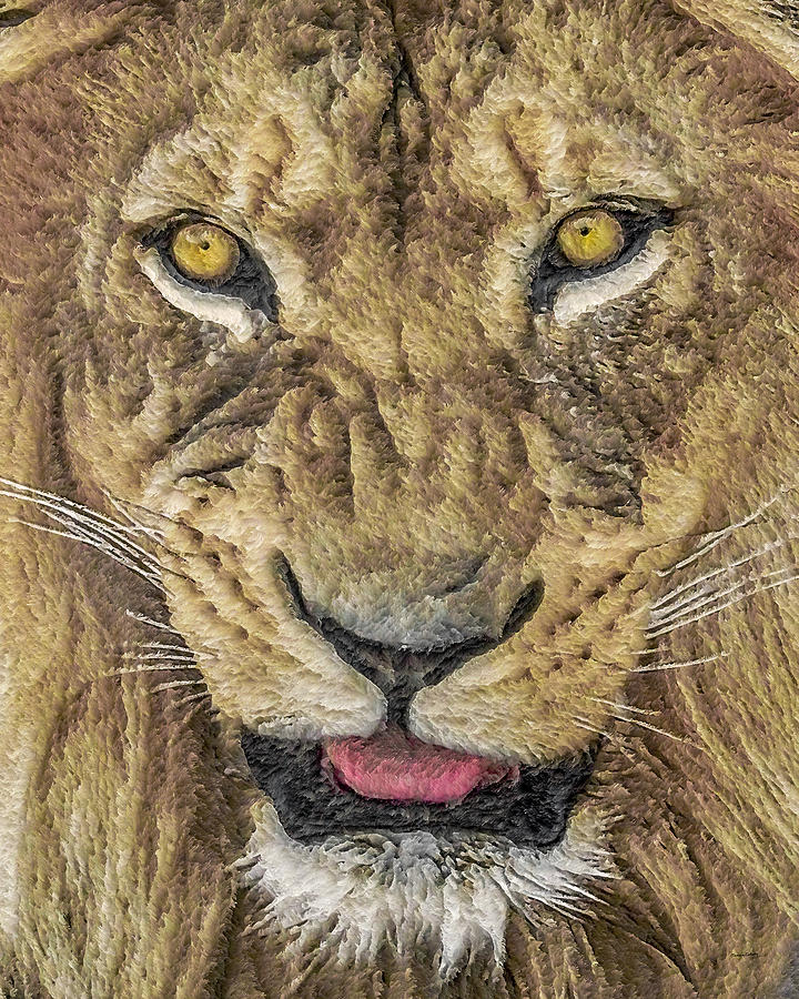 Lion Digital Art - Snarl by Ernest Echols