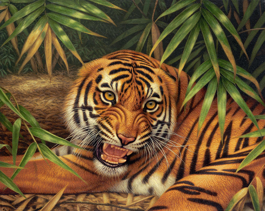 Snarling Bengal Tiger Lying Photograph by Ikon Ikon Images