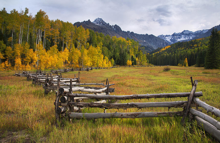 Sneffels Meadow Photograph by Morris McClung