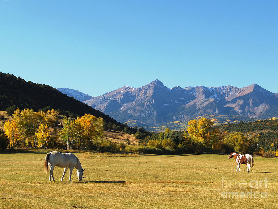 Sneffels Range In The San Juan Mountains Of South West Colorado ...