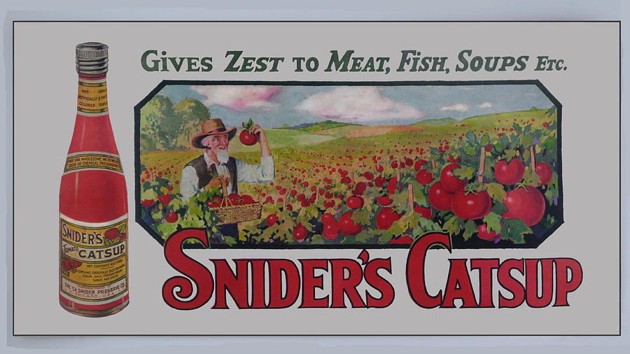 Sniders Catsup Digital Art by Woodson Savage