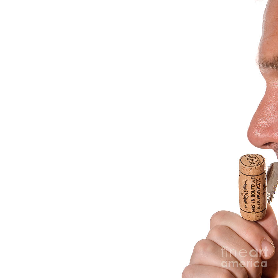 Sniffing wine cork Photograph by Patricia Hofmeester