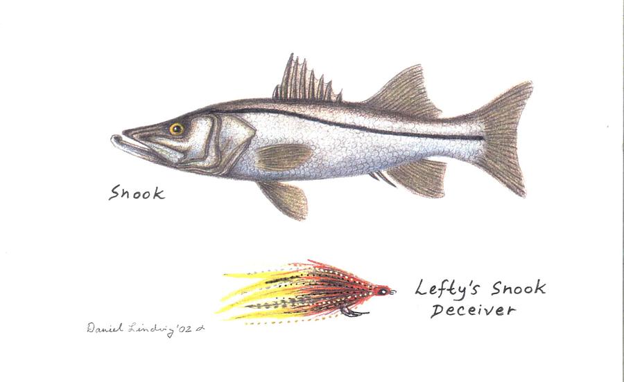 Snook and Lefty's Snook Deceiver Fly Drawing by Daniel Lindvig