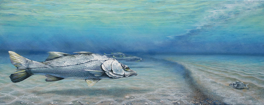 Fish Painting - Snook Waiting Perch Watching by Joan Garcia
