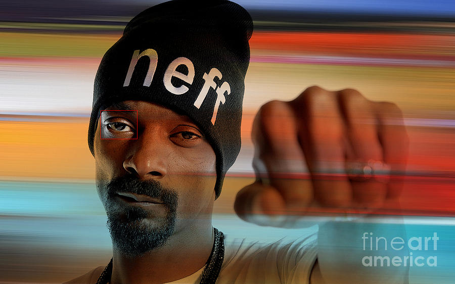 Snoop Lion Digital Art - Snoop LIon by Marvin Blaine