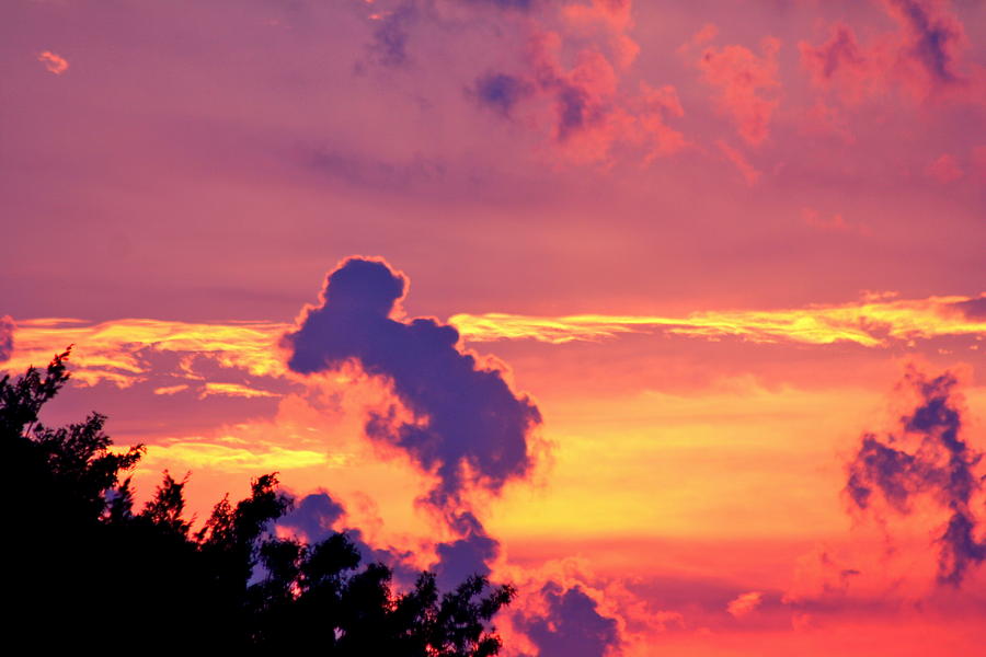 Snoopy in the Sky Photograph by Art Newman | Fine Art America