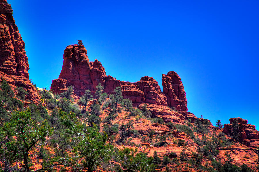 Snoopy Rock in Sedona Photograph by David Patterson