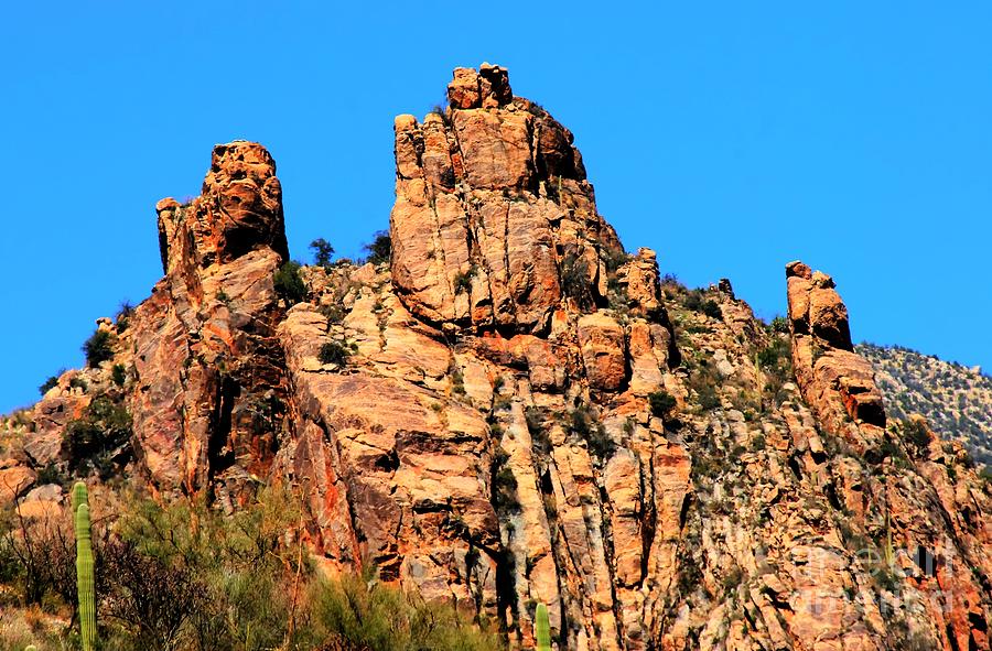 Snoopy Rock - Sabino Canyon Tucson Arizona  Photograph by Tap On Photo
