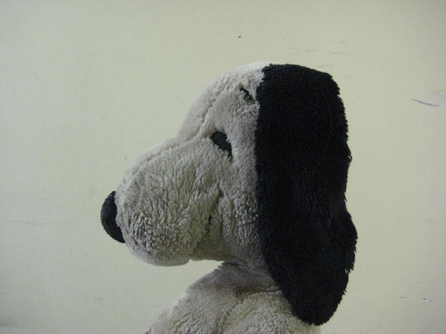 Snoopy Stuffed Animal Profile Headshot Photograph by David Lovins - Fine  Art America