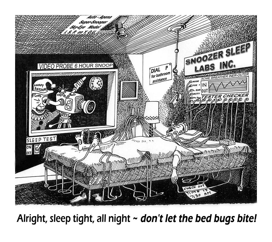 Snoozer Sleep Lab Study Drawing by Jack Pumphrey