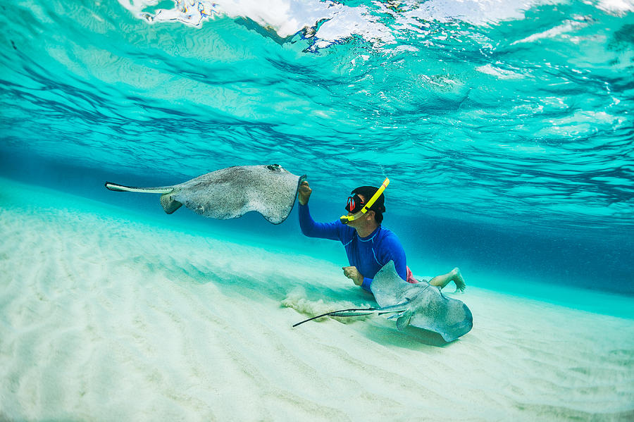 Snorkeler playing with stingray fishes Photograph by Extreme-photographer