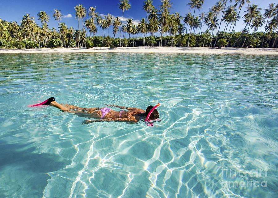 Snorkeling in Polynesia Photograph by M Swiet Productions