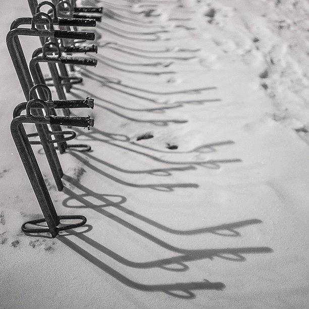 Snow & Shadow Photograph by Andy Kleinmoedig
